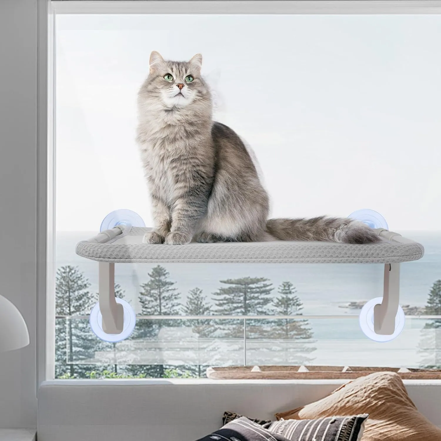 2-in-1 Cat Window Perch for Large Indoor, Sturdy Foldable Cat Window Hammock for Window with Solid Metal Frame, Cat Perch Bed for Cats Inside, Pet Window Bed Shelf, Bedside Strong Metal Frame