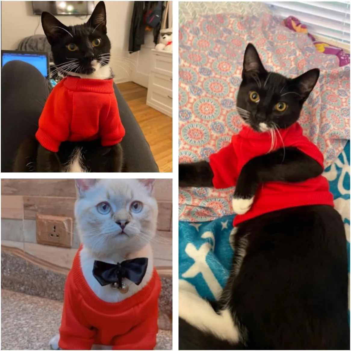 2Pc Pet Sweaters for Hairless Cats & Small Dogs - Cotton Pullover Shirts with Sleeves (Red & Pink, Large)