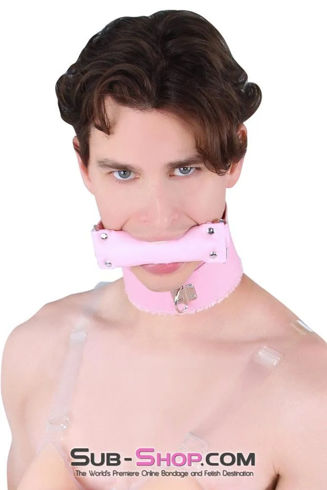 8956DL-SIS      Sissy Slave Harlot Sissy Hypnosis Stuffed Pink Bit Gag