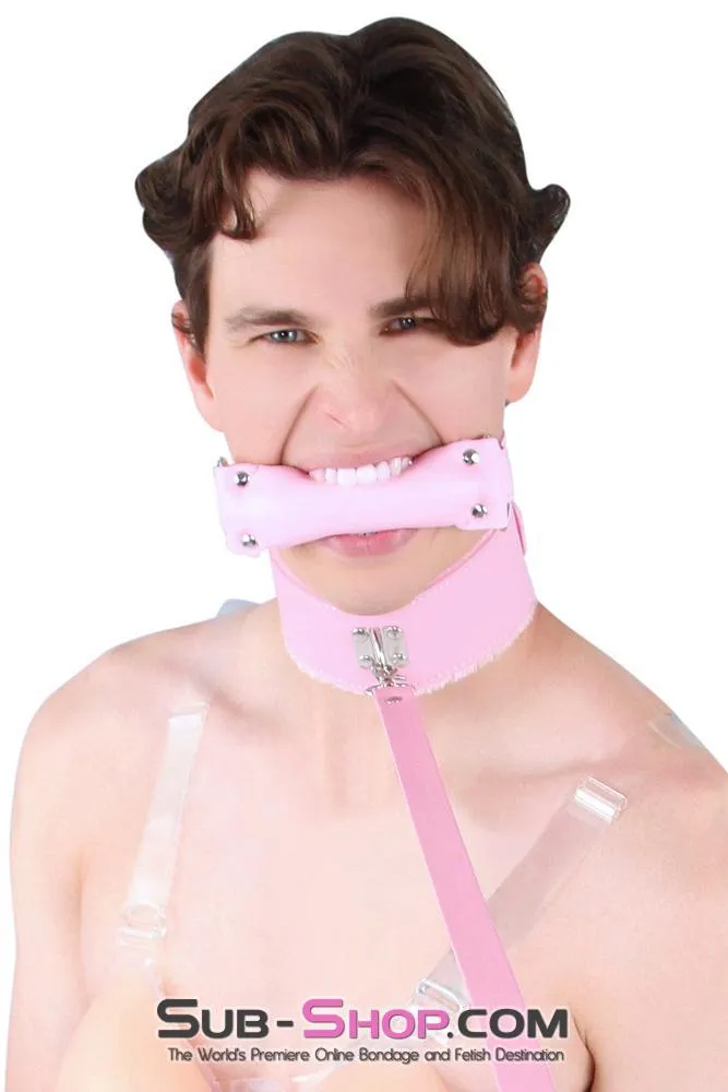8956DL-SIS      Sissy Slave Harlot Sissy Hypnosis Stuffed Pink Bit Gag