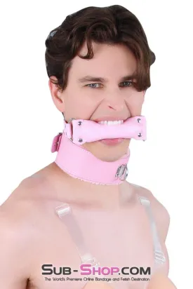 8956DL-SIS      Sissy Slave Harlot Sissy Hypnosis Stuffed Pink Bit Gag
