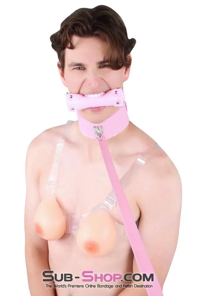 8956DL-SIS      Sissy Slave Harlot Sissy Hypnosis Stuffed Pink Bit Gag