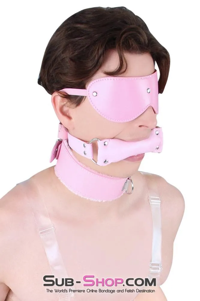 8956DL-SIS      Sissy Slave Harlot Sissy Hypnosis Stuffed Pink Bit Gag