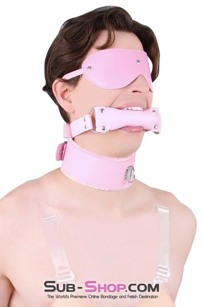 8956DL-SIS      Sissy Slave Harlot Sissy Hypnosis Stuffed Pink Bit Gag