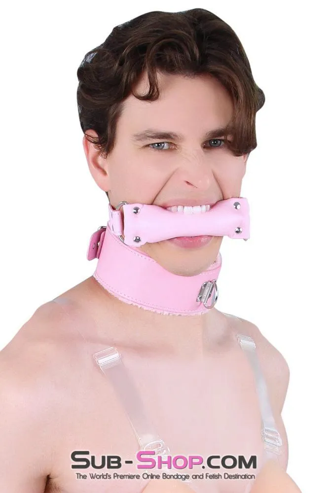 8956DL-SIS      Sissy Slave Harlot Sissy Hypnosis Stuffed Pink Bit Gag