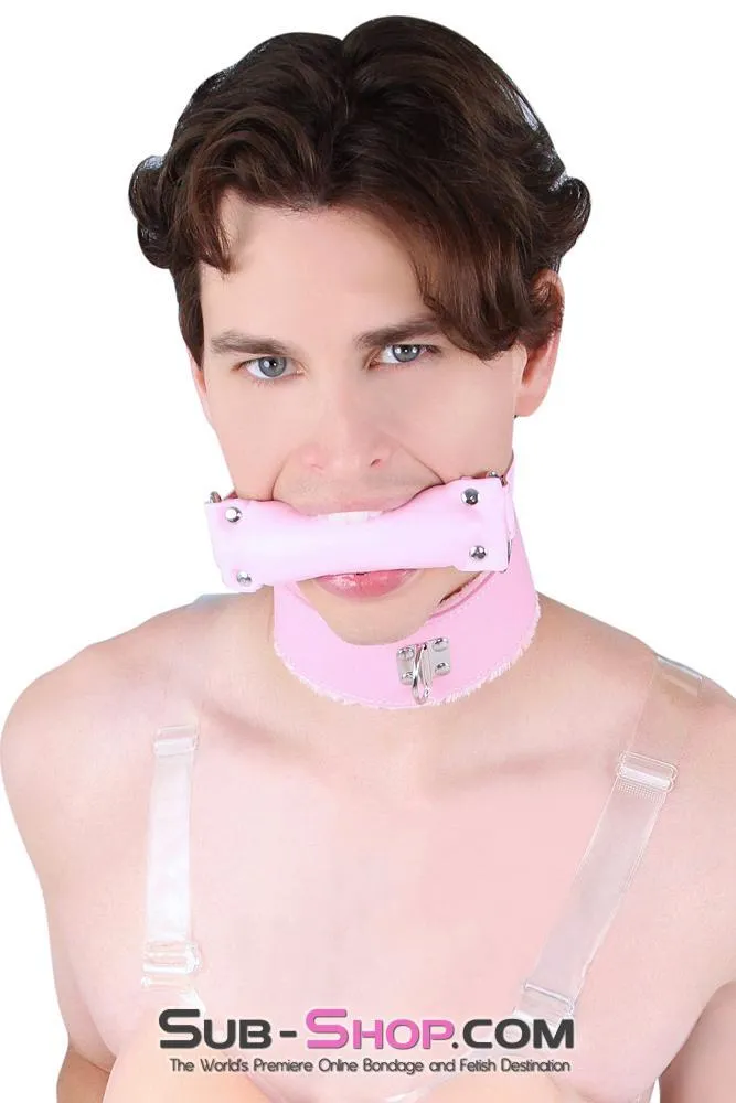 8956DL-SIS      Sissy Slave Harlot Sissy Hypnosis Stuffed Pink Bit Gag