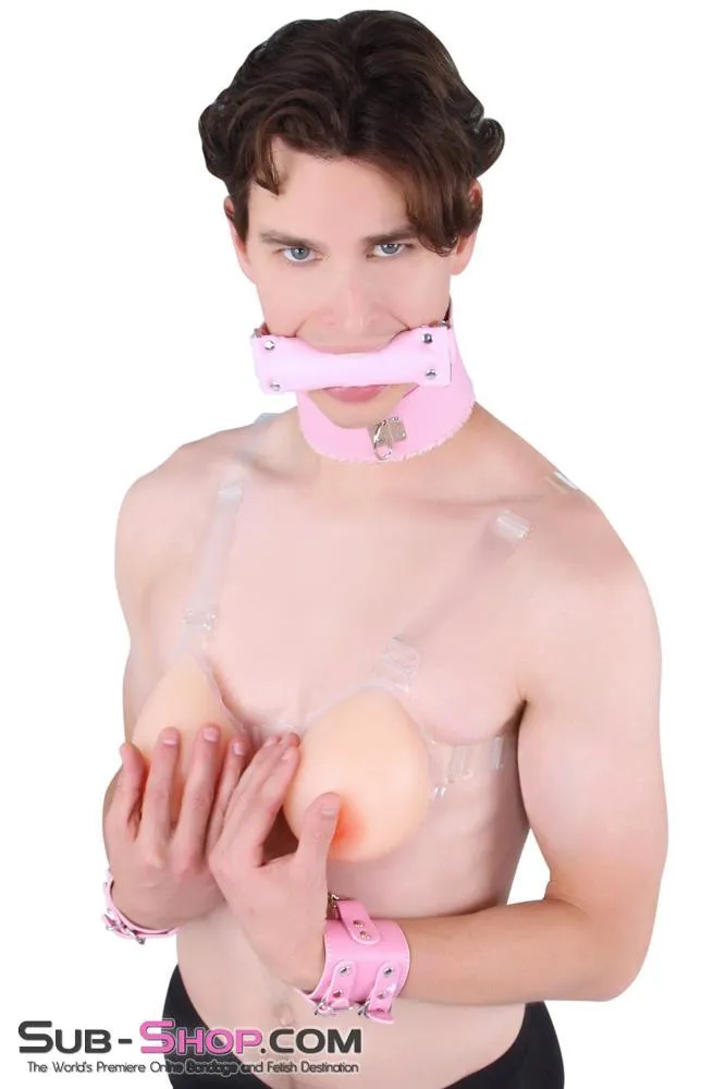 8956DL-SIS      Sissy Slave Harlot Sissy Hypnosis Stuffed Pink Bit Gag