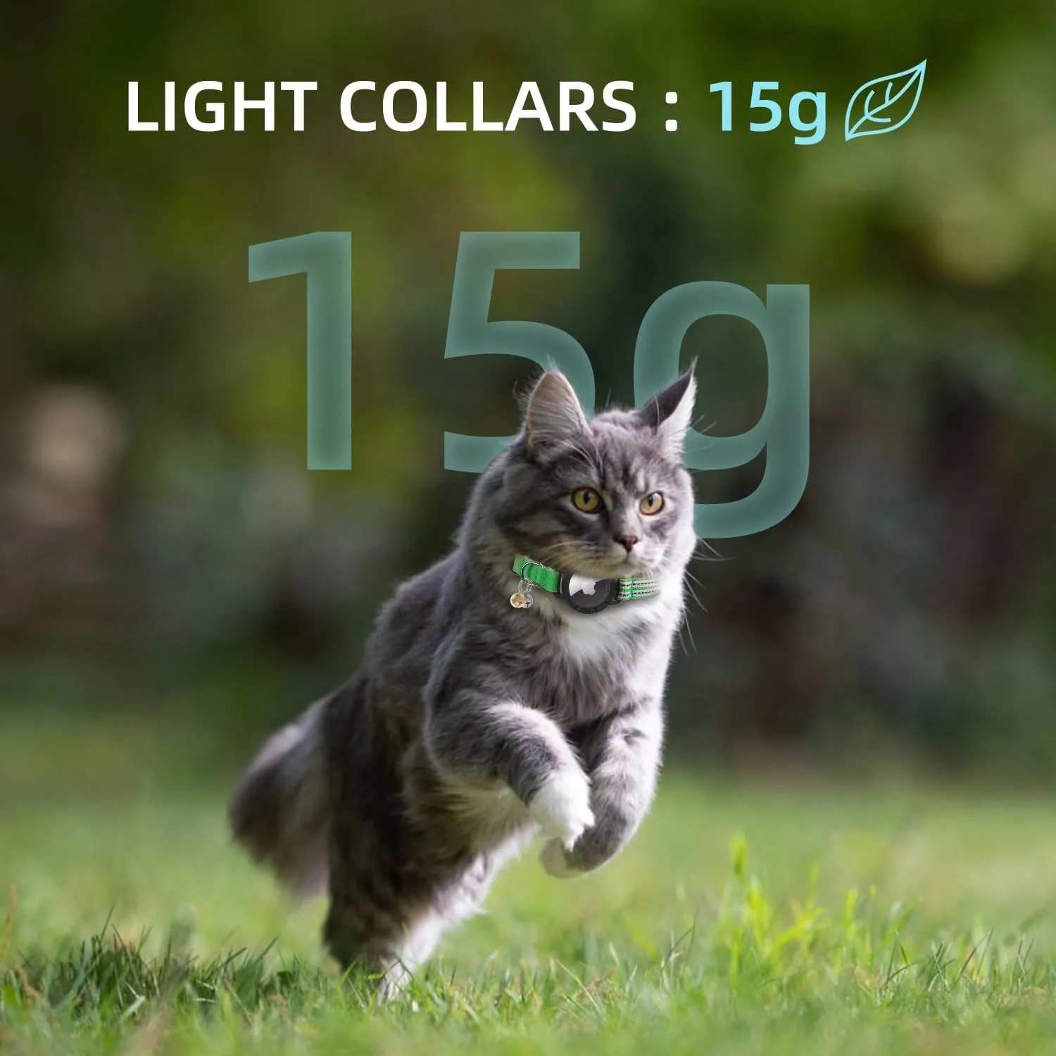 AirTag Cat Collar  Reflective Kitten Collars with Integrated Apple Air Tag Holder | Lightweight, Elastic Safety Cat Tracker Collar with Bell for Girl Boy Cats, Kittens, and Puppies (Green, XS)