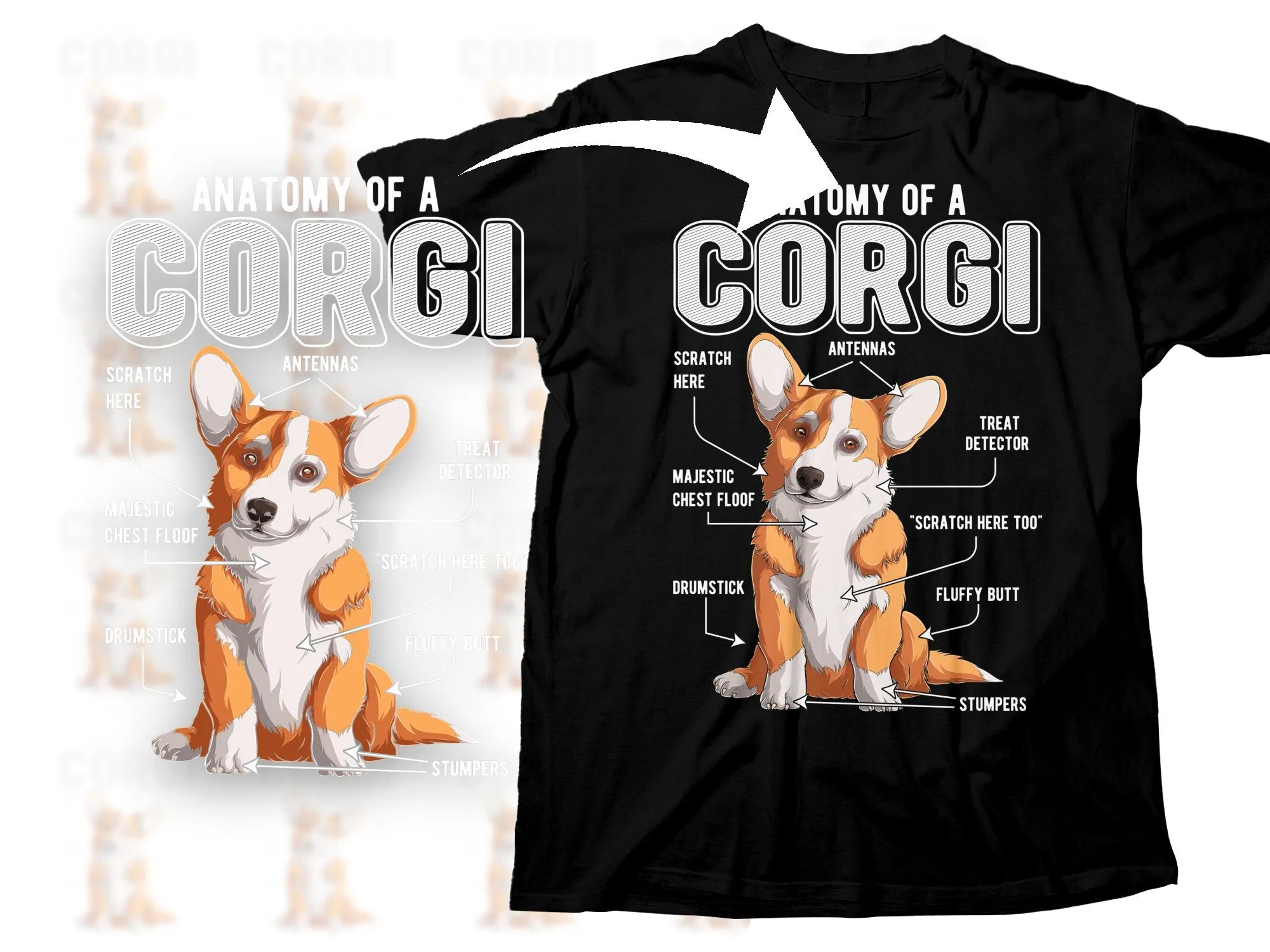 Anatomy Of A Corgi Funny Cute Graphic Design Png Digital Download