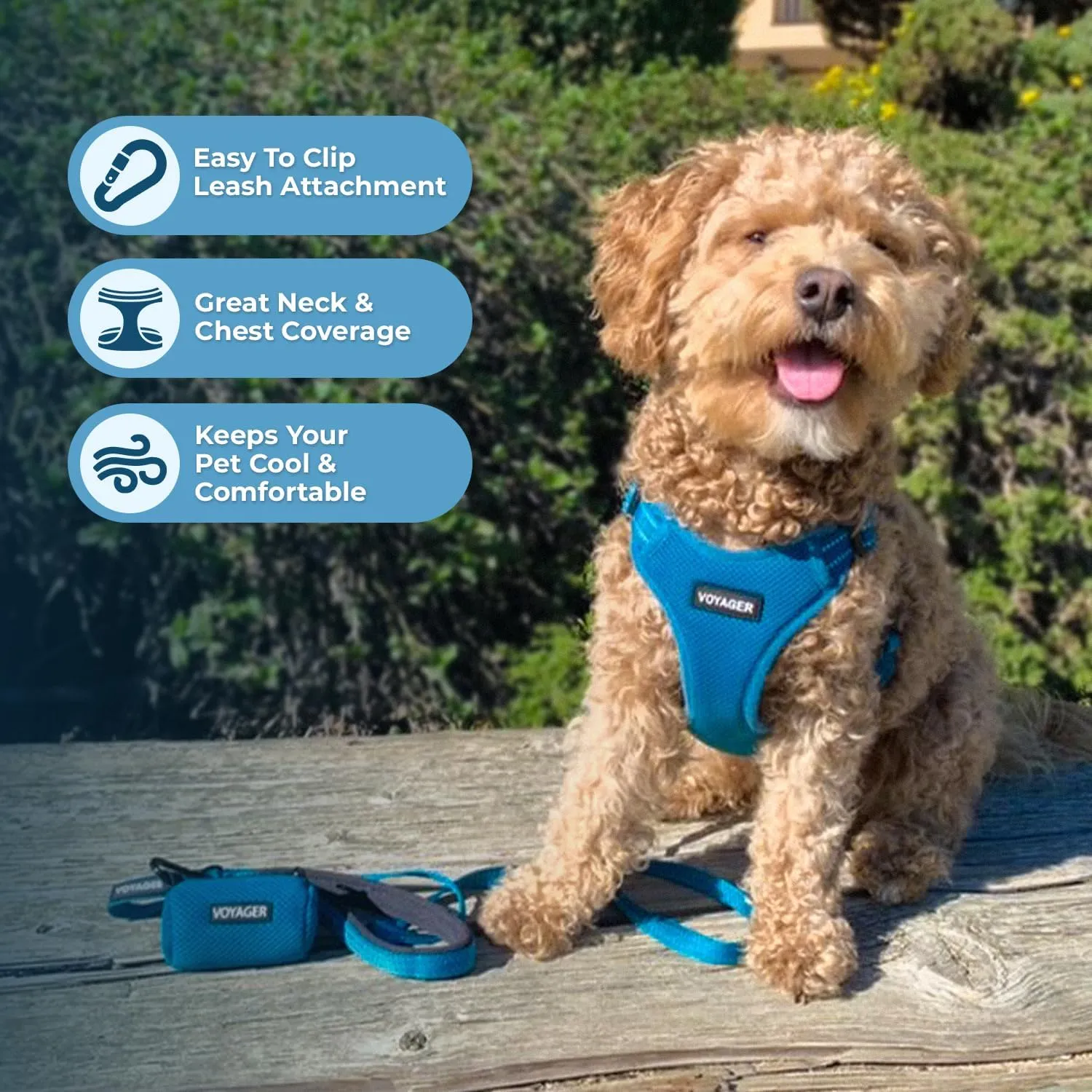 Best Pet Supplies Voyager ,,,, D , - ,L 