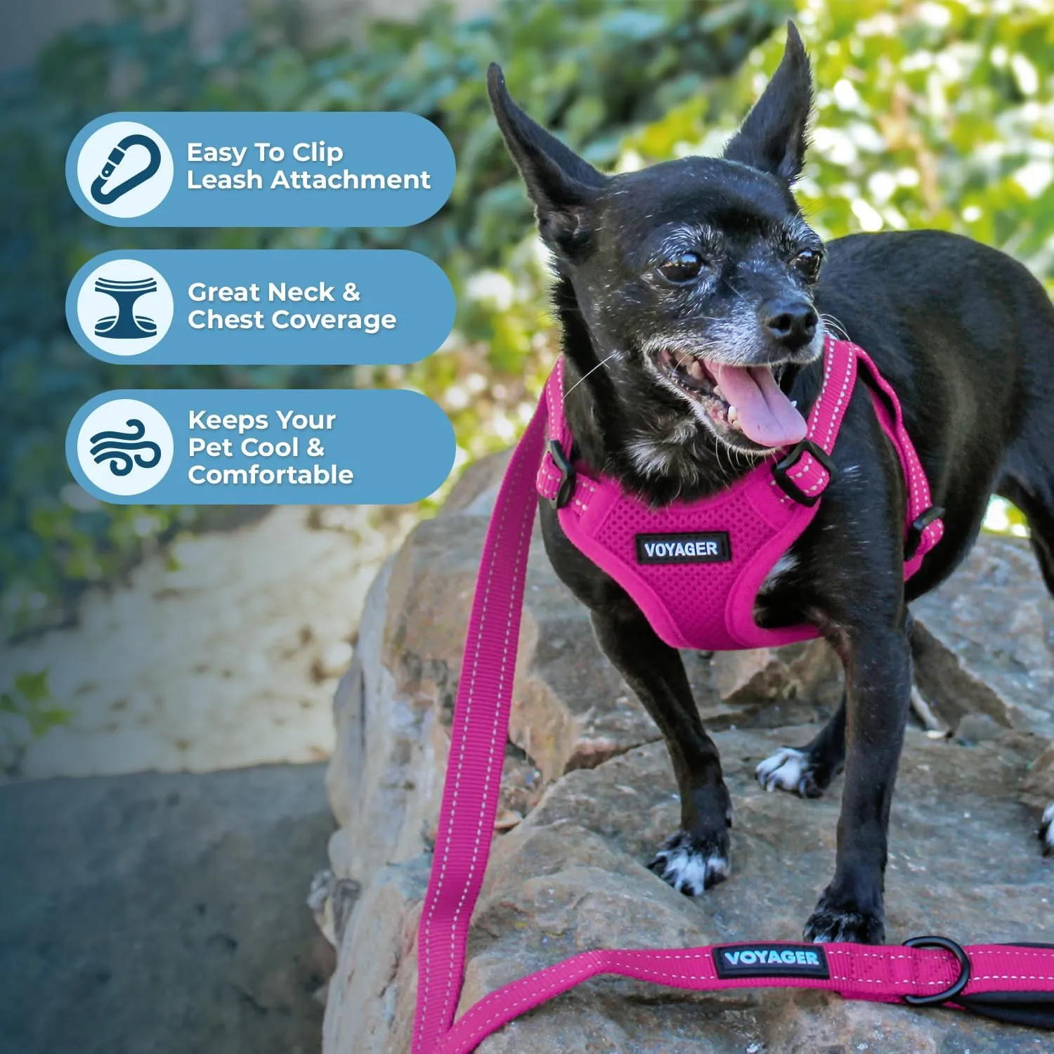 Best Pet Supplies Voyager ,,,, D , - ,XS 