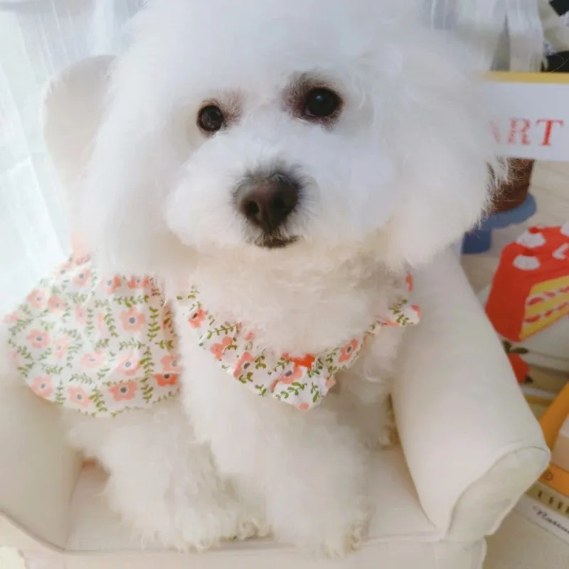 Big Bow Flower Pet Dress