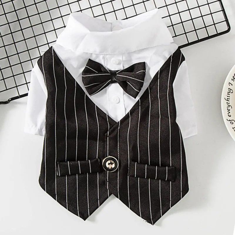 British Style Gentleman Dog Shirt Bridal Party Shirt Pet Puppy or Doggie-Wedding Party Clothes