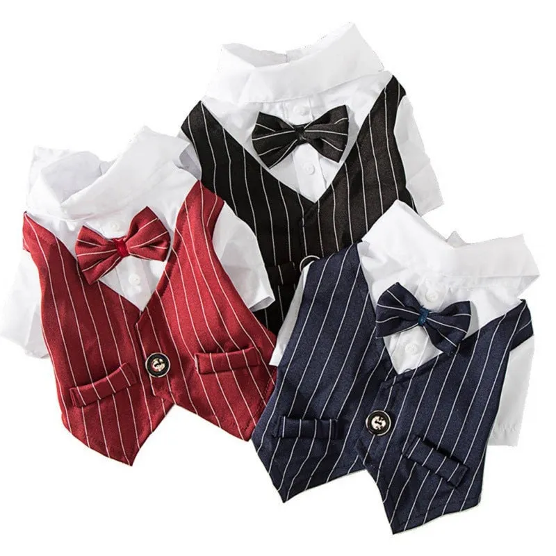 British Style Gentleman Dog Shirt Bridal Party Shirt Pet Puppy or Doggie-Wedding Party Clothes