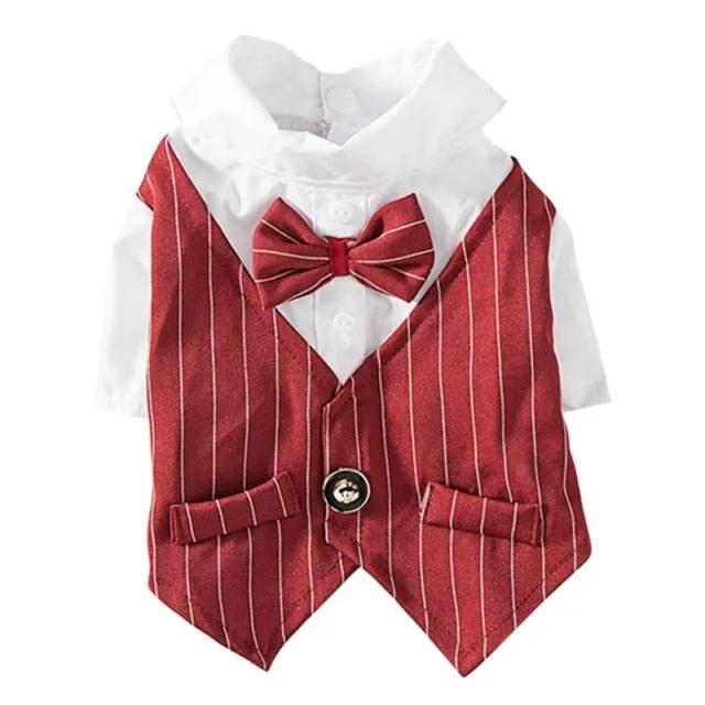 British Style Gentleman Dog Shirt Bridal Party Shirt Pet Puppy or Doggie-Wedding Party Clothes