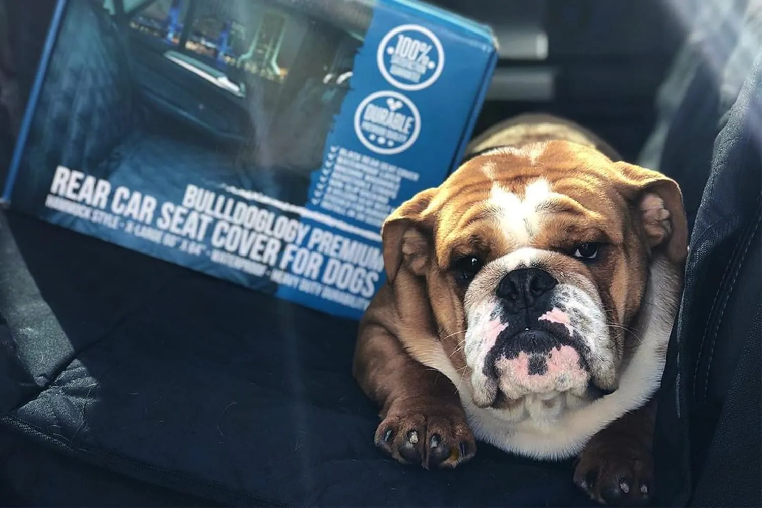Bulldogology Dog Car Seat Cover for Back Seat 58"x56" Waterproof Dog Car Seat Cover SUV - Car Seat Cover for Dogs - Back Seat Protector for Dog - Dog Hammock for Car, Dog Seat Cover for Truck (Large)