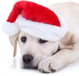 Cat Christmas Cosplay Small Dog Costumes Santa Hat Xmas for Small Dogs Cats Xmas Costumes