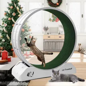 Cat Treadmill Wheel Exerciser for Enhanced Feline Fitness and Well-Being with Carpeted Runway