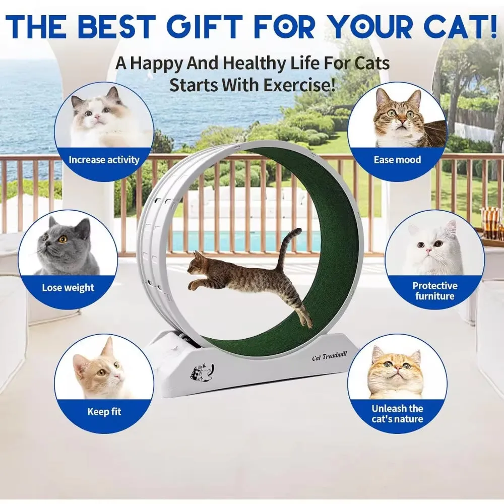 Cat Treadmill Wheel Exerciser for Enhanced Feline Fitness and Well-Being with Carpeted Runway
