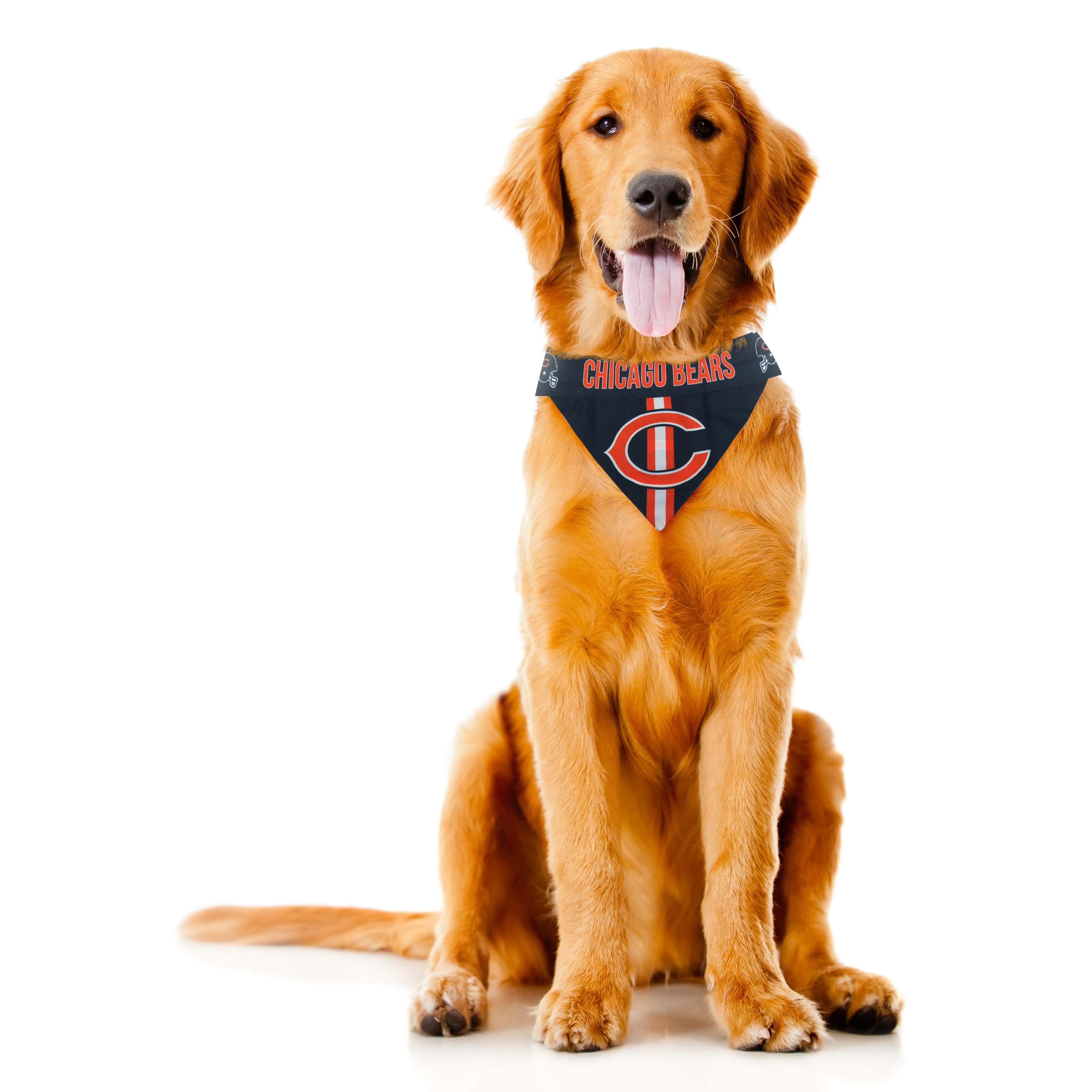 Chicago Bears Pet Bandana