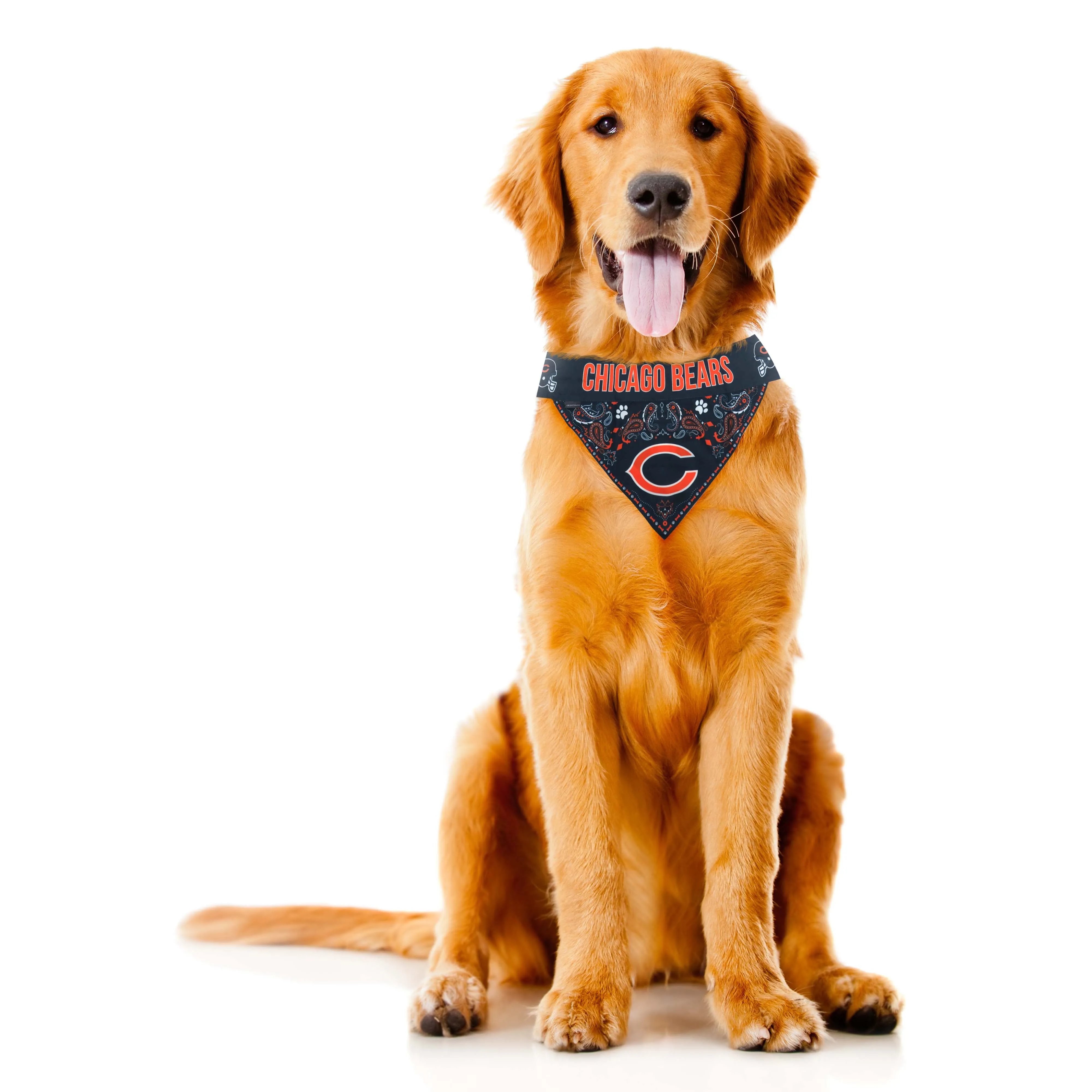 Chicago Bears Pet Bandana