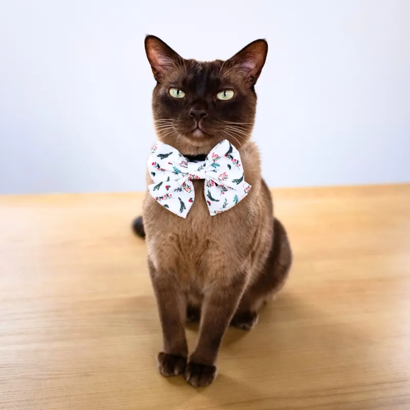 Christmas Mistletoe Bandana & Bow Tie Set for Pets