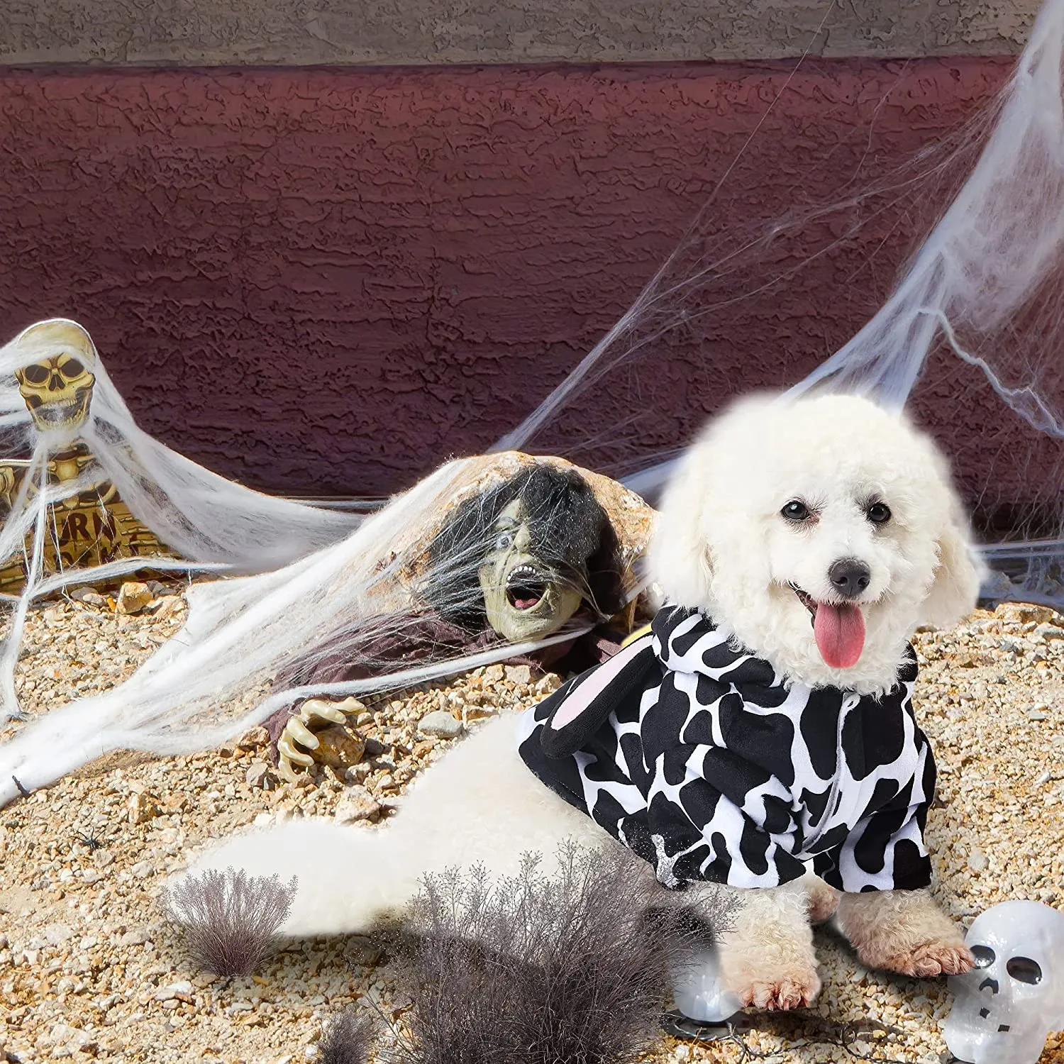 Cow Pet Costume