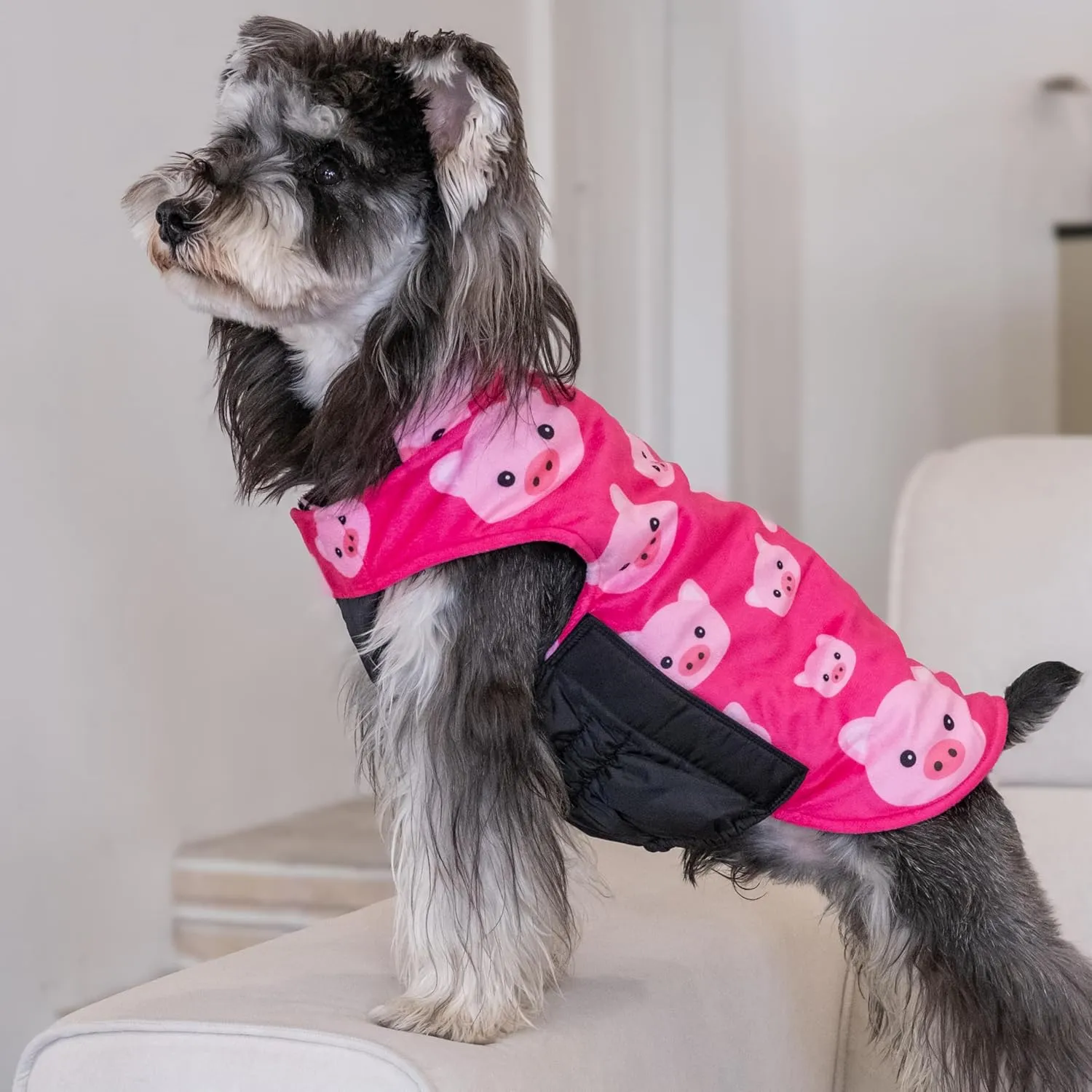 CuteBone Winter Dog Jacket - Reversible, Windproof, Waterproof, Thick Soft Coat with Leash Hole for Small to Large Dogs