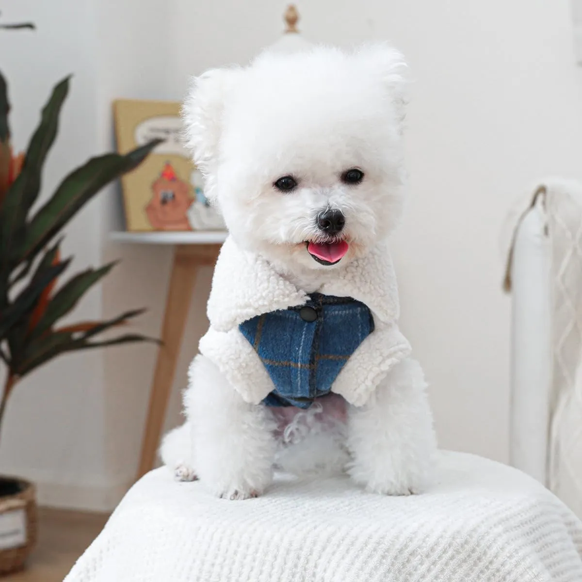 Dog Leather Jacket Fleece Lined Puppy Leather Coat Small Dog Winter Stylish Jacket Cold Weather Chihuahua Yorkie Warm Windproof Waterproof Coats Pet Christmas Holiday Birthday Dog Clothes