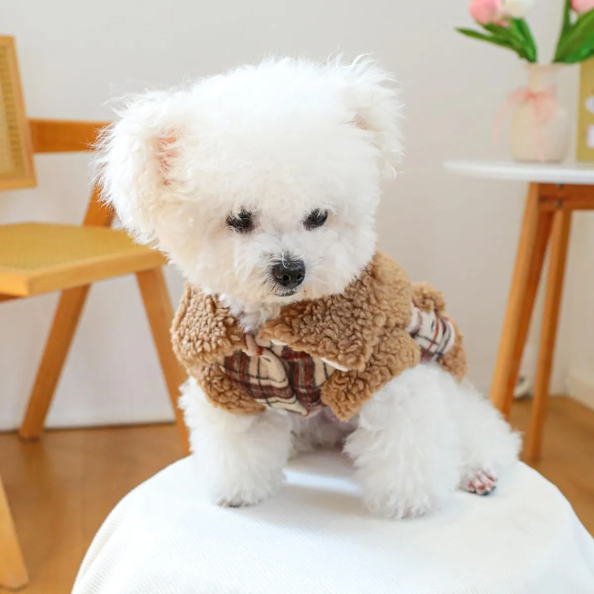 Dog Leather Jacket Fleece Lined Puppy Leather Coat Small Dog Winter Stylish Jacket Cold Weather Chihuahua Yorkie Warm Windproof Waterproof Coats Pet Christmas Holiday Birthday Dog Clothes
