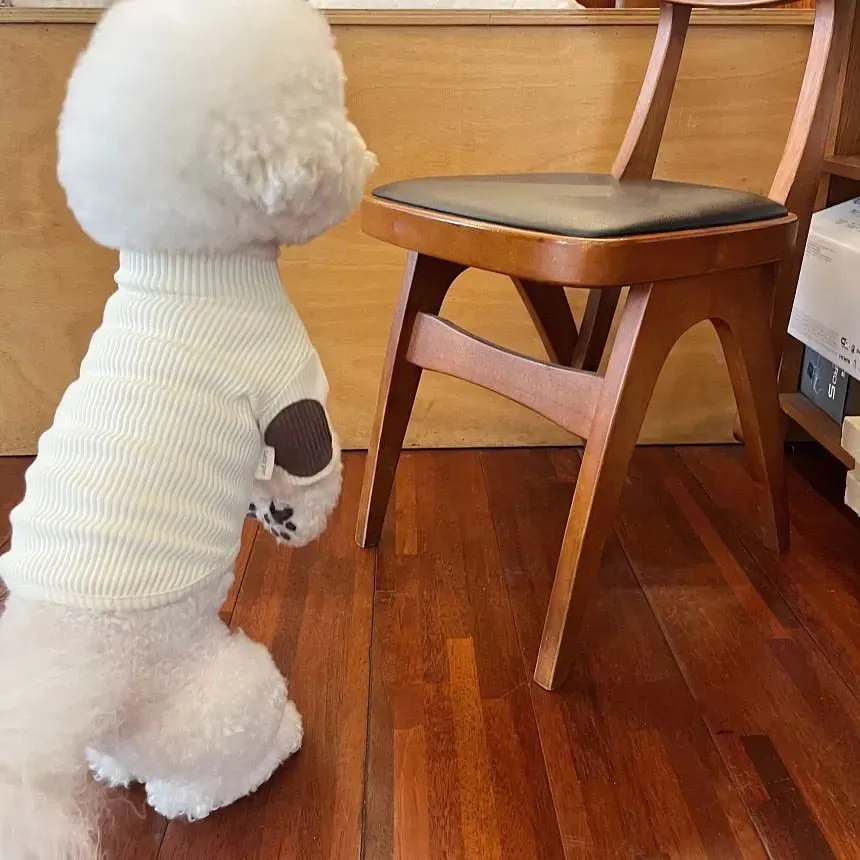 Dress Your Pup in Winter Elegance: Fashion Pet Dog Bottoming Shirt - Keep Your Furry Friend Cozy and Stylish with Teddy Warm Two-Legged Clothing! 🐾❄️