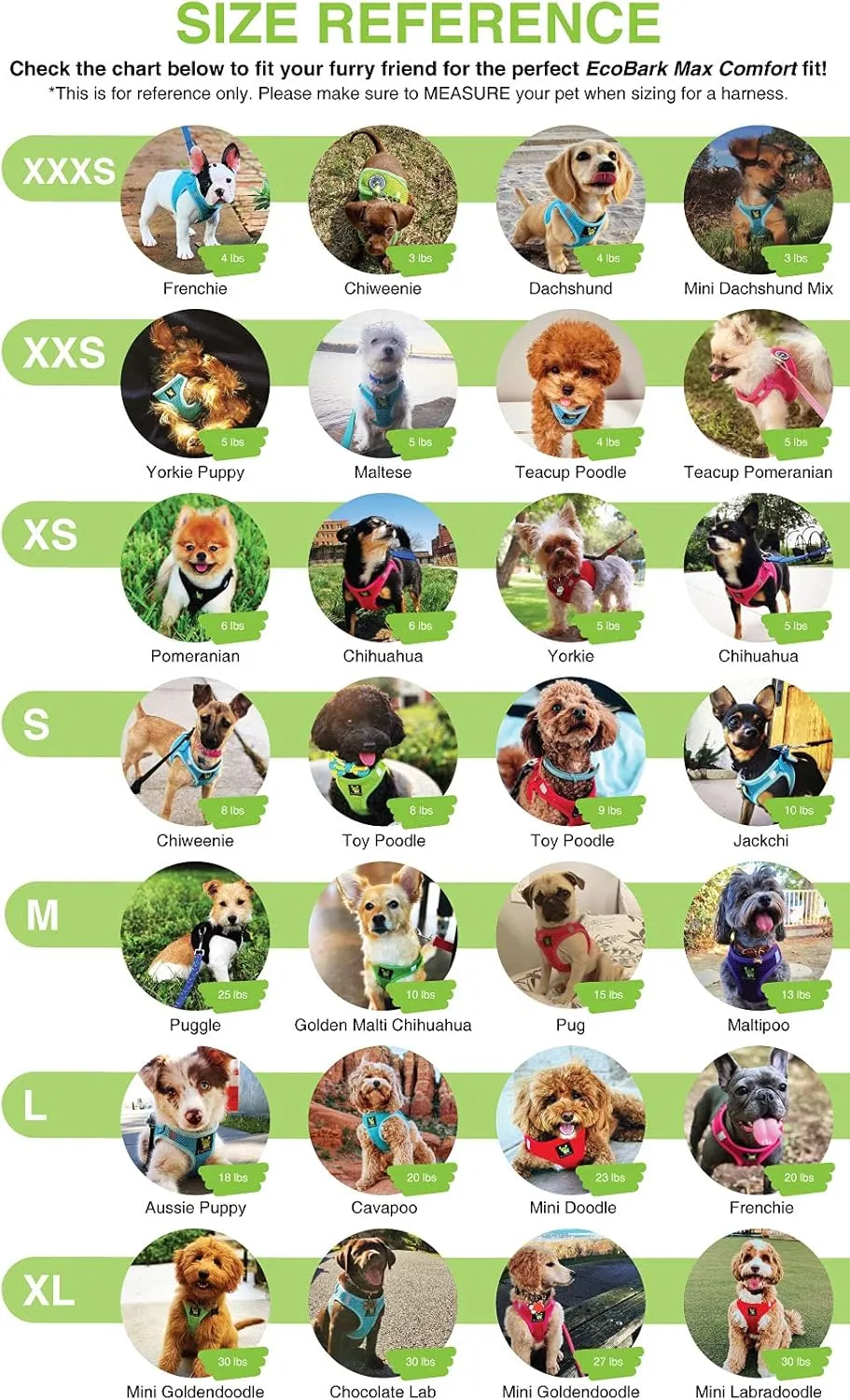 EcoBark Pet Supplies      , XXS, 