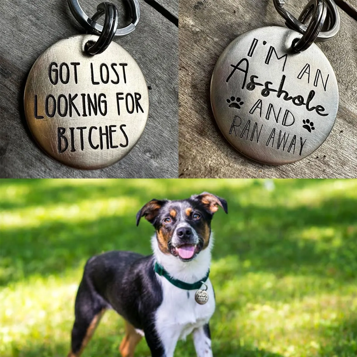 Funny Dog Tag,Dog Collar Tag Dog Id Tag I Fucked Aroun and Got Lost .Can You Call My Mom,She's Probably Losing Her Shit,Cute Pet Tag Keychain for Dog Cats Owner (I Fucked AroundDAD)