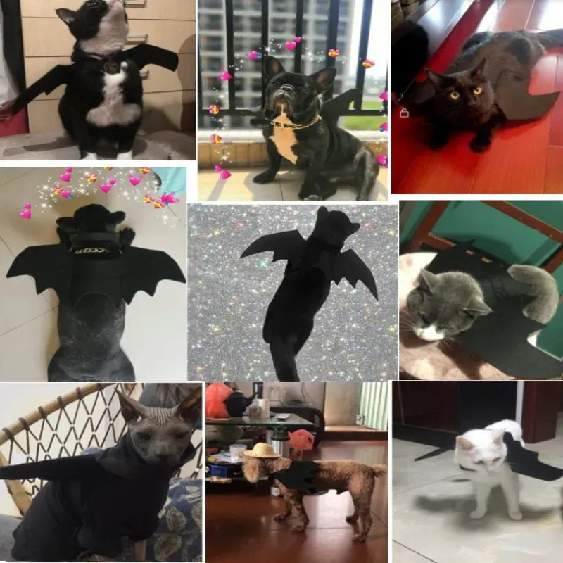 Funny Halloween Dog Clothes - Bat Wings Cosplay Costumes, Dog Costumes for Small Dogs, Cat Costumes, Dog Halloween Costume
