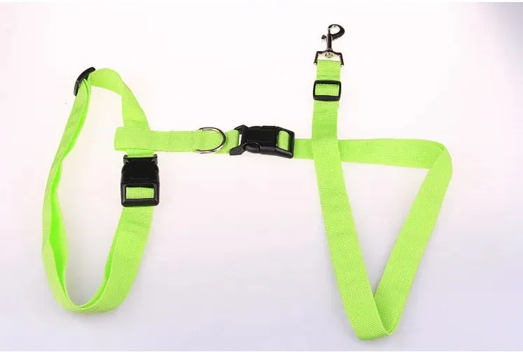 Hands-Free Adjustable Dog Leash for Active Owners