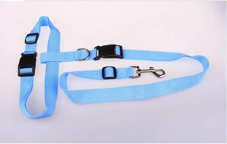 Hands-Free Adjustable Dog Leash for Active Owners