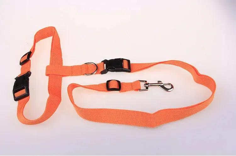Hands-Free Adjustable Dog Leash for Active Owners