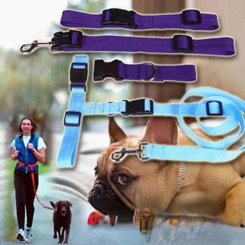 Hands-Free Adjustable Dog Leash for Active Owners