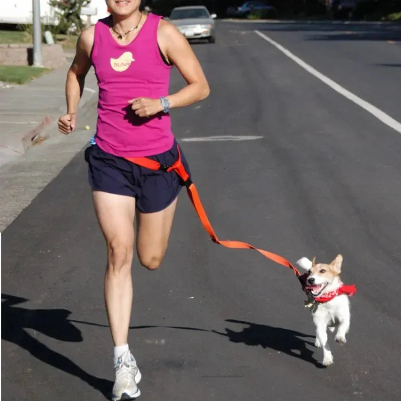 Hands-Free Adjustable Dog Leash for Active Owners