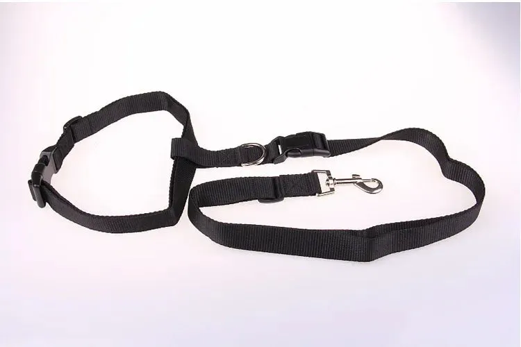 Hands-Free Adjustable Dog Leash for Active Owners