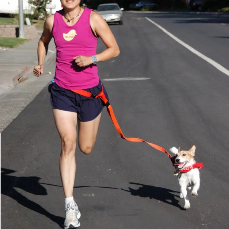 Hands-Free Adjustable Dog Leash for Active Owners