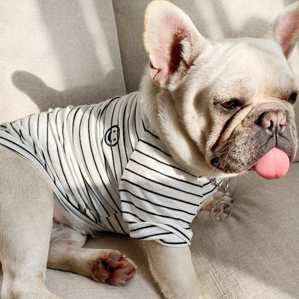 Just Smile Dog Human Matching Outfit