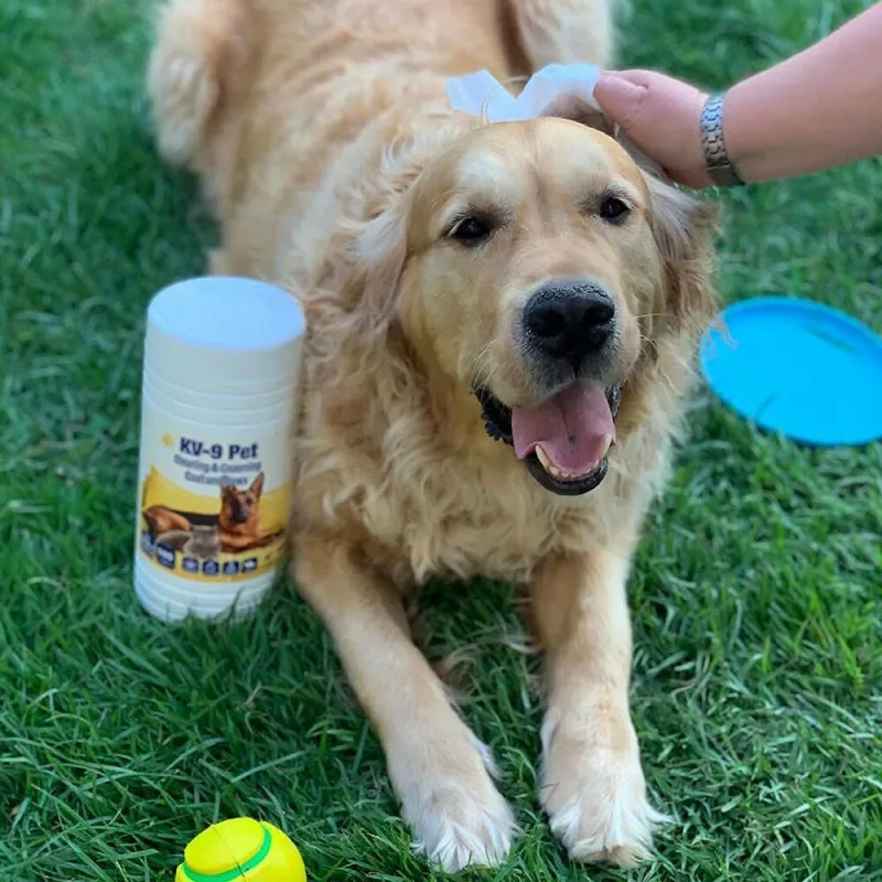 KIVEMA Daily Pet Grooming Wipes for Dog, Cat and Puppies, Cleaning Face Butt Eyes Ears Paws and Body (100 Wipes Jar)