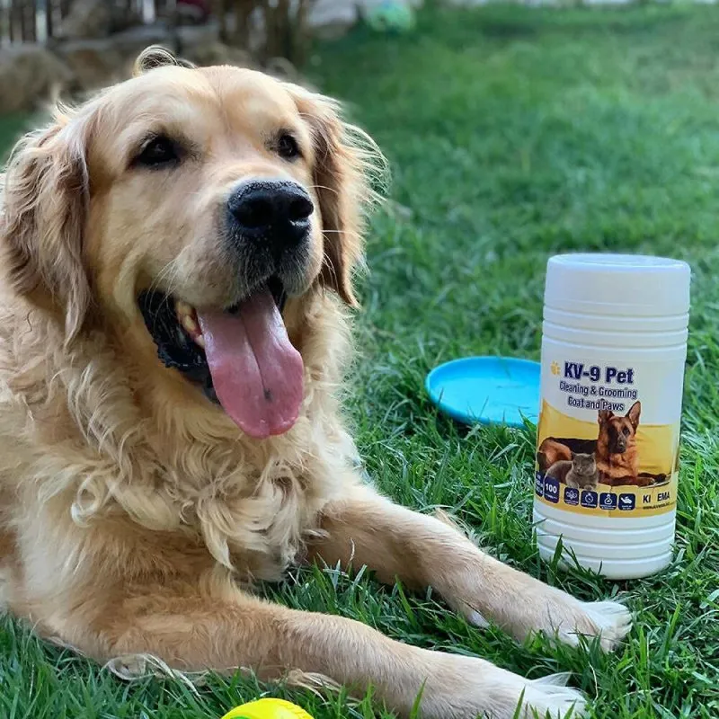 KIVEMA Daily Pet Grooming Wipes for Dog, Cat and Puppies, Cleaning Face Butt Eyes Ears Paws and Body (100 Wipes Jar)