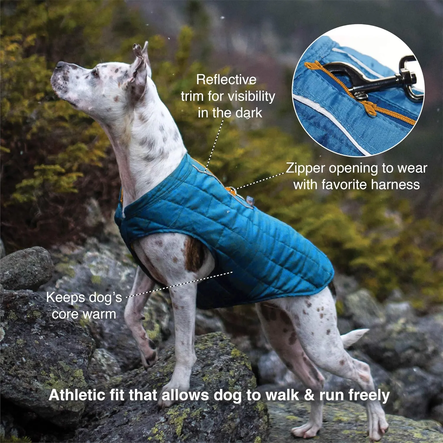 Kurgo Loft Dog Jacket, Reversible Dog Coat, Wear with Harness or Sweater, Water Resistant, Reflective, Winter Coat for Large Dogs (Coastal Blue, L)