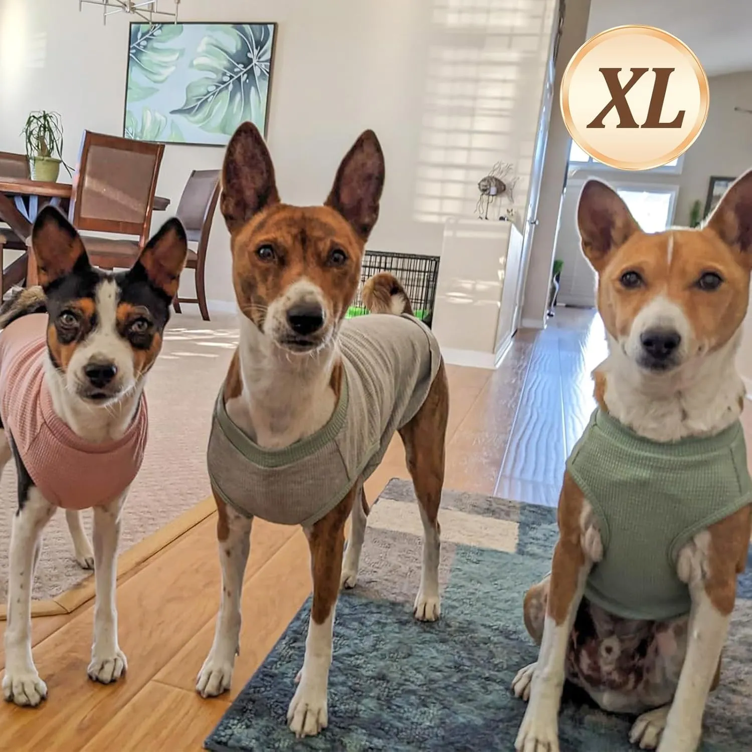 KYEESE 2Pack Dog Shirts Waffle for Small Dogs Stretchy Pet T-Shirts Lightweight Dog Tank Top Sleeveless Dogs Vest Breathable, X-Large, Blue Grey
