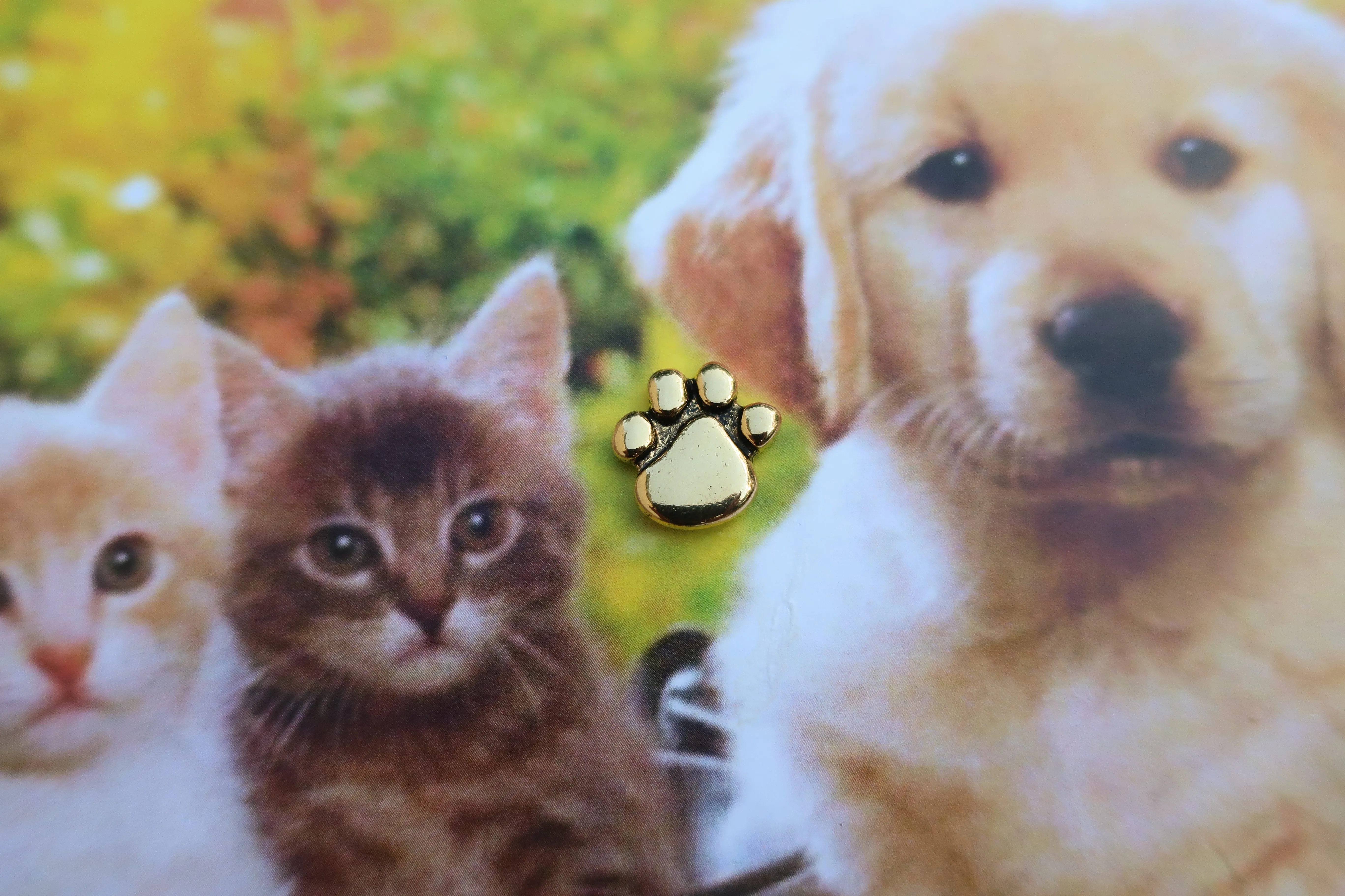 Paw Print Gold Lapel Pin