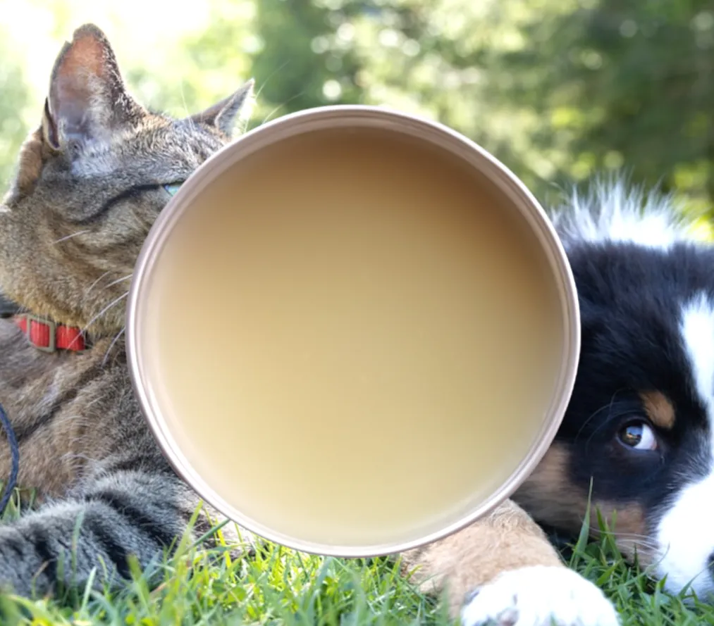 Pet paw balm