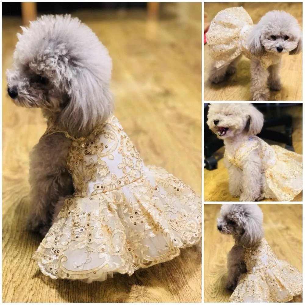Princess Dress for Cat/Dog