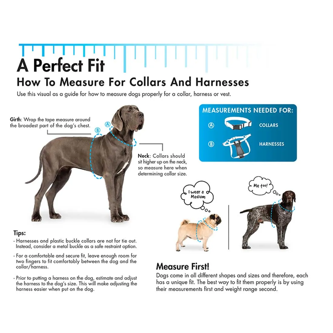 Pro Blue Waterproof Collar